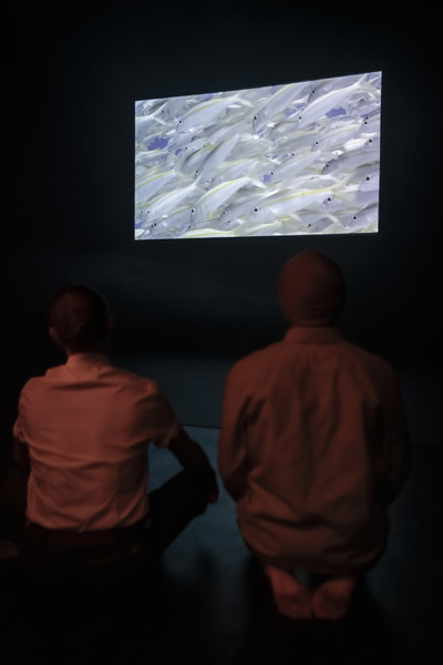 The Silence of the Mass 2